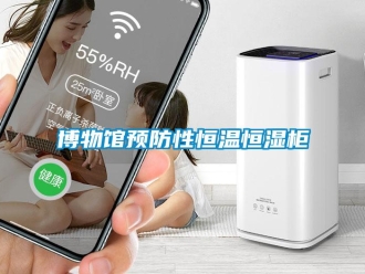 知識(shí)百科博物館預(yù)防性恒溫恒濕柜