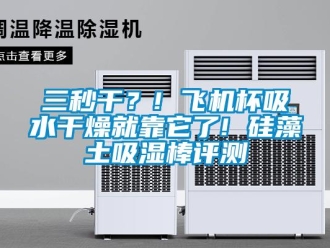 企業(yè)新聞三秒干？! 飛機(jī)杯吸水干燥就靠它了! 硅藻土吸濕棒評測