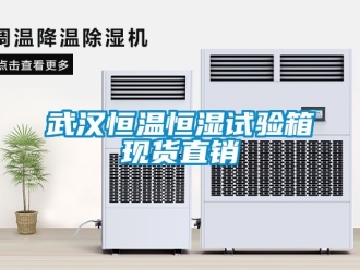 知識百科武漢恒溫恒濕試驗箱現(xiàn)貨直銷