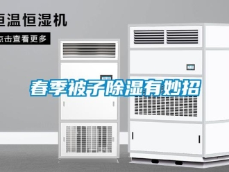 企業新聞春季被子除濕有妙招