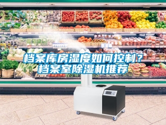 行業新聞檔案庫房濕度如何控制？檔案室除濕機推薦