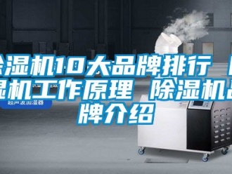 企業新聞除濕機10大品牌排行 除濕機工作原理 除濕機品牌介紹