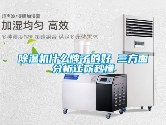 行業新聞除濕機什么牌子的好 三方面分析讓你秒懂