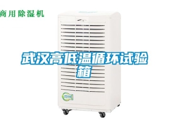 常見問題武漢高低溫循環試驗箱