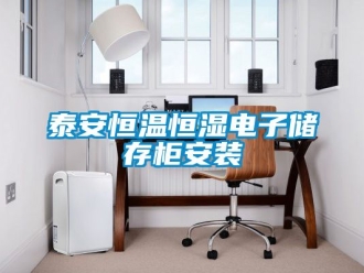 知識百科泰安恒溫恒濕電子儲存柜安裝