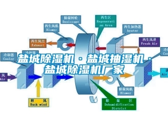 企業新聞鹽城除濕機·鹽城抽濕機·鹽城除濕機廠家