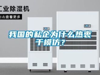 知識百科我國的私企為什么熱衷于模仿？