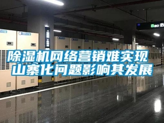 常見(jiàn)問(wèn)題除濕機(jī)網(wǎng)絡(luò)營(yíng)銷(xiāo)難實(shí)現(xiàn) 山寨化問(wèn)題影響其發(fā)展