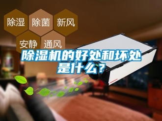 企業(yè)新聞除濕機(jī)的好處和壞處是什么？