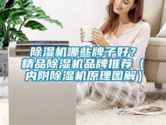 企業新聞除濕機哪些牌子好？精品除濕機品牌推薦（內附除濕機原理圖解）
