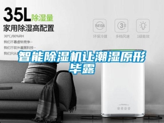 知識百科智能除濕機讓潮濕原形畢露
