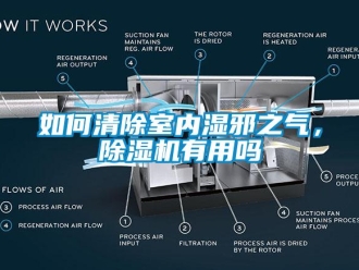 行業(yè)新聞如何清除室內(nèi)濕邪之氣，除濕機有用嗎