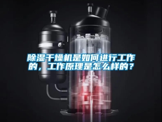 企業新聞除濕干燥機是如何進行工作的，工作原理是怎么樣的？