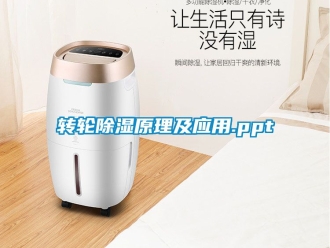 常見問題轉(zhuǎn)輪除濕原理及應(yīng)用.ppt