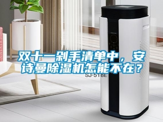 企業(yè)新聞雙十一剁手清單中，安詩曼除濕機怎能不在？