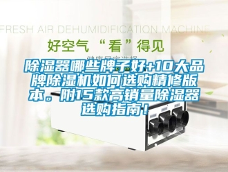 企業(yè)新聞除濕器哪些牌子好+10大品牌除濕機如何選購精修版本。附15款高銷量除濕器選購指南！