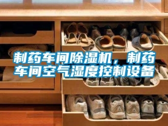 知識百科制藥車間除濕機，制藥車間空氣濕度控制設備