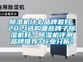 企業新聞除濕機什么品牌最好，2021選購哪些牌子除濕機好？除濕機評測品牌推薦+行業分析！