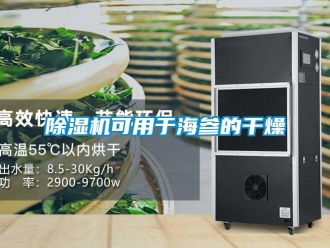 常見問題除濕機可用于海參的干燥