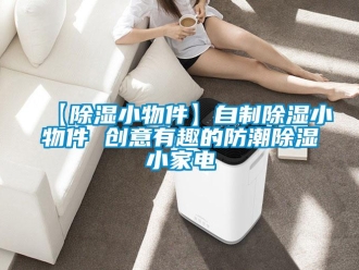 常見問題【除濕小物件】自制除濕小物件 創(chuàng)意有趣的防潮除濕小家電