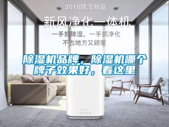 企業(yè)新聞除濕機品牌，除濕機哪個牌子效果好，看這里