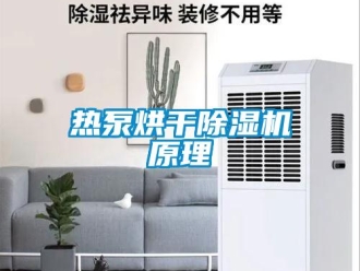 行業新聞熱泵烘干除濕機原理