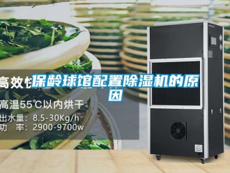 常見(jiàn)問(wèn)題保齡球館配置除濕機(jī)的原因