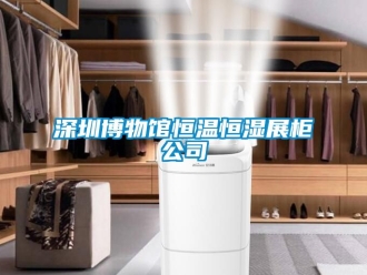 知識百科深圳博物館恒溫恒濕展柜公司