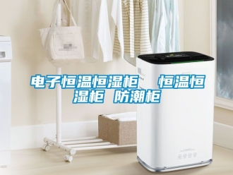 知識(shí)百科電子恒溫恒濕柜  恒溫恒濕柜 防潮柜