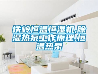 知識百科鐵嶺恒溫恒濕機,除濕熱泵工作原理,恒溫熱泵