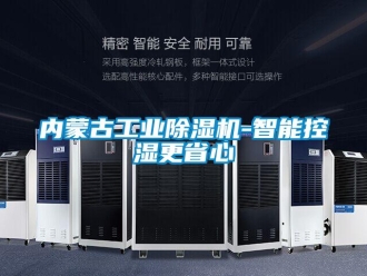 常見問題內蒙古工業(yè)除濕機-智能控濕更省心