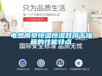 知識百科電熱南京恒溫恒濕鼓風(fēng)干燥箱的性能特點(diǎn)