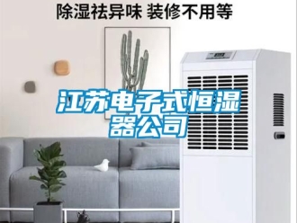 知識百科江蘇電子式恒濕器公司