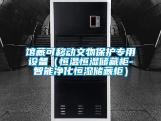 知識(shí)百科館藏可移動(dòng)文物保護(hù)專用設(shè)備（恒溫恒濕儲(chǔ)藏柜-智能凈化恒濕儲(chǔ)藏柜）