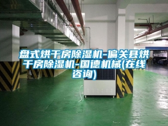 行業新聞盤式烘干房除濕機-偏關縣烘干房除濕機-國德機械(在線咨詢)