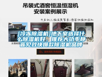 企業(yè)新聞[冷凍除濕機]地下室選擇什么除濕機好，推薦大功率靜音見效快爆款除濕機品牌