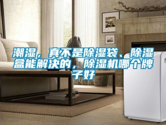 企業(yè)新聞潮濕，真不是除濕袋、除濕盒能解決的，除濕機哪個牌子好