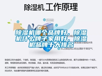企業新聞除濕機哪個品牌好，除濕機什么牌子家用好，除濕機品牌十大排名