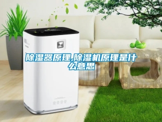 行業新聞除濕器原理,除濕機原理是什么意思