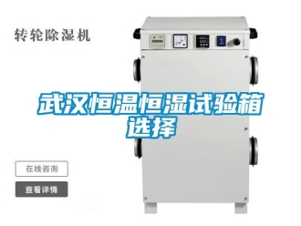 知識百科武漢恒溫恒濕試驗箱選擇
