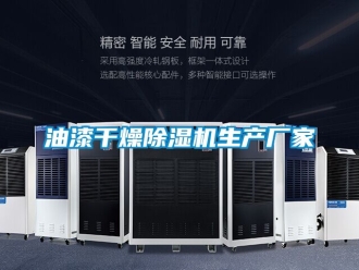 企業(yè)新聞油漆干燥除濕機生產(chǎn)廠家