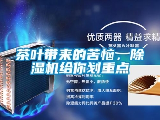 企業新聞茶葉帶來的苦惱，除濕機給你劃重點