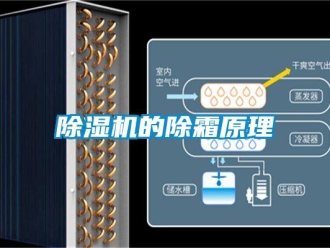企業新聞除濕機的除霜原理
