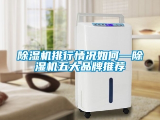 企業新聞除濕機排行情況如何—除濕機五大品牌推薦