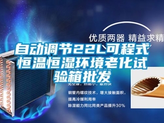 知識百科自動調(diào)節(jié)22L可程式恒溫恒濕環(huán)境老化試驗(yàn)箱批發(fā)