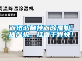 行業新聞面坊必備掛面除濕機、抽濕機，掛面干得快！