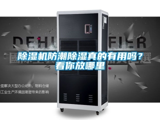 行業新聞除濕機防潮除濕真的有用嗎？看你放哪里
