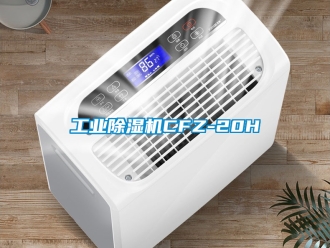 常見問題工業(yè)除濕機(jī)CFZ-20H