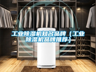 常見問題工業(yè)除濕機(jī)知名品牌（工業(yè)除濕機(jī)品牌推薦）