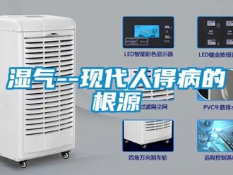 知識百科濕氣--現代人得病的根源